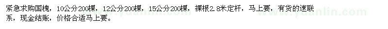 求購(gòu)10、12、15公分國(guó)槐