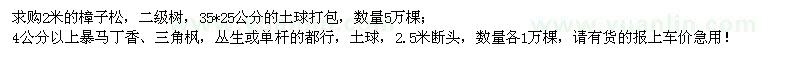求購2米樟子松、暴馬丁香、三角楓