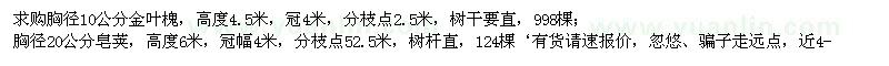 求購(gòu)胸徑10公分金葉槐、胸徑20公分皂莢