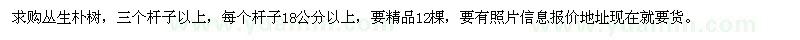 求購(gòu)叢生樸樹