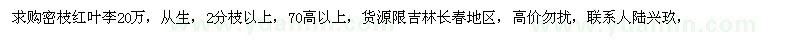 求購密枝紅葉李20萬 