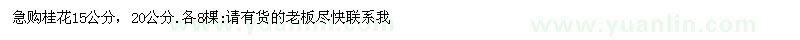 求購(gòu)15公分、20公分桂花