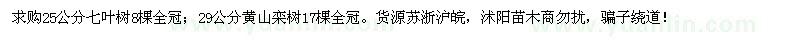 求購25公分七葉樹