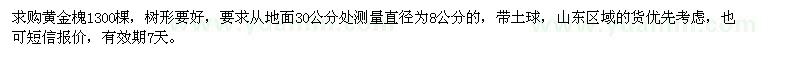求購直徑8公分黃金槐