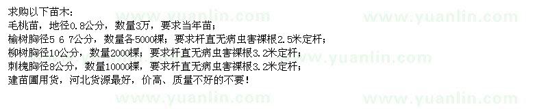 求購毛桃苗、榆樹、柳樹、刺槐