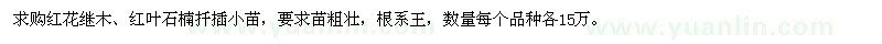 求購(gòu)紅花繼木、紅葉石楠扦插小苗