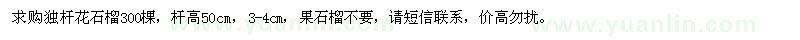 求購獨桿花石榴300棵