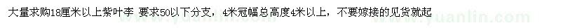 求購(gòu)18公分以上紫葉李