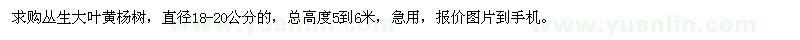求購直徑18-20公分叢生大葉黃楊樹