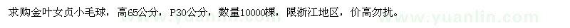 求購(gòu)高65公分金葉女貞小毛球