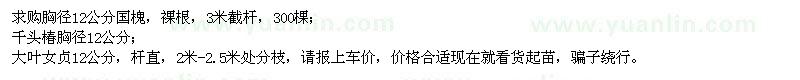 求購國(guó)槐、千頭椿、大葉女貞
