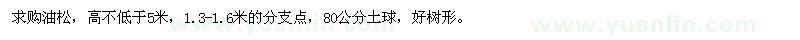 求購高不低于5米油松