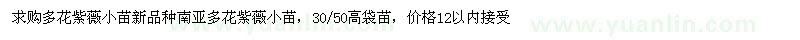 求購多花紫薇小苗