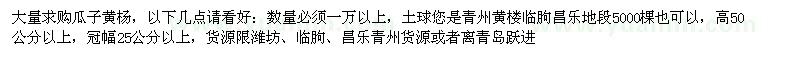 求購(gòu)高50公分以上瓜子黃楊