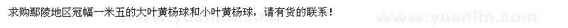 求購(gòu)冠幅1.5米大葉黃楊球、小葉黃楊球