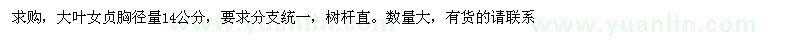 求購胸徑14公分大葉女貞