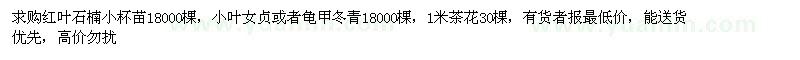 求購紅葉石楠、小葉女貞、龜甲冬青