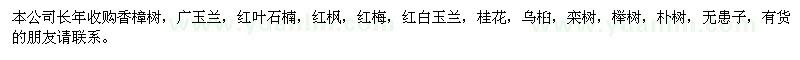 求購香樟樹、廣玉蘭、紅葉石楠等苗木