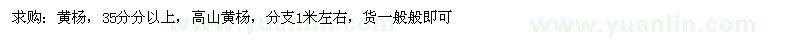 求購35公分以上黃楊