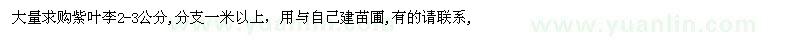 求購紫葉李