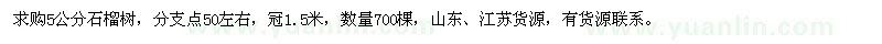 求購5公分石榴樹
