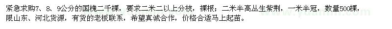 求購7、8、9公分國槐、高2.5米叢生紫荊