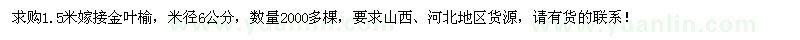 求購(gòu)1.5米嫁接金葉榆