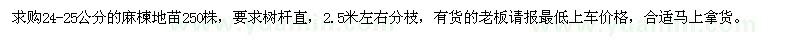 求購24-25公分麻楝地苗