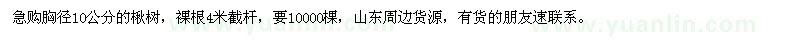 求購胸徑10公分的楸樹