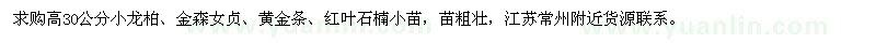 求購高30公分小龍柏、金森女貞、黃金條、紅葉石楠小苗