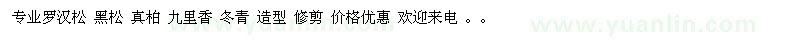 求購造型羅漢松