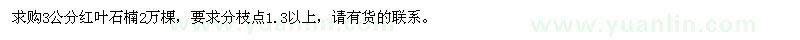 求購3公分紅葉石楠