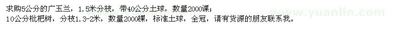求購5公分廣玉蘭、10公分枇杷樹