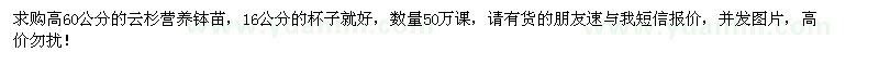 求購高60公分云杉營養(yǎng)缽苗
