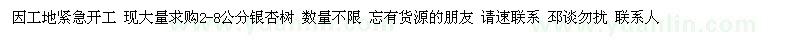 求購2-8公分銀杏樹
