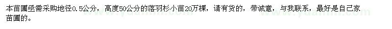 求購(gòu)高度50公分落羽杉