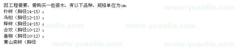 求購(gòu)樸樹(shù)、烏桕、櫸樹(shù)
