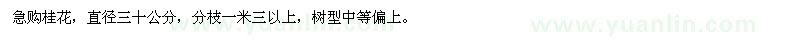 求購直徑30公分桂花