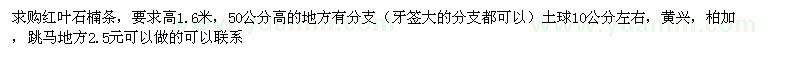 求購高1.6米紅葉石楠條