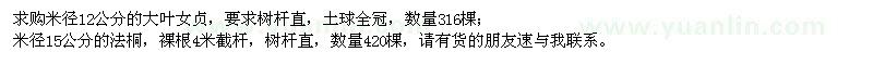 求購大葉女貞、法桐