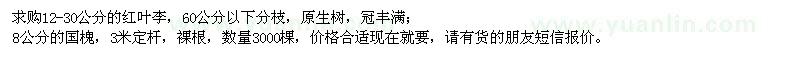 求購紅葉李、國槐