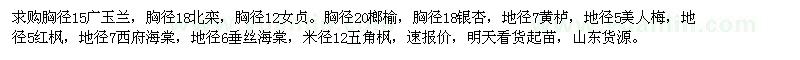 求購廣玉蘭、北欒、女貞、榔榆等