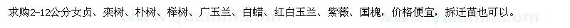 求購女貞、欒樹、樸樹、櫸樹等