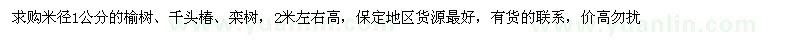 求購米徑1公分榆樹(shù)、千頭椿、欒樹(shù)