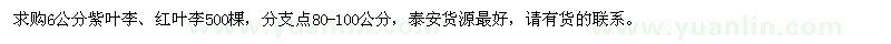 求購(gòu)6公分紫葉李、紅葉李