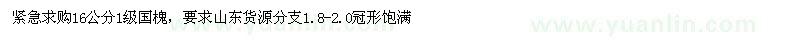 求購16公分國槐