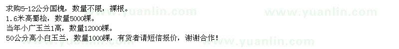 求購國槐、蜀檜、廣玉蘭
