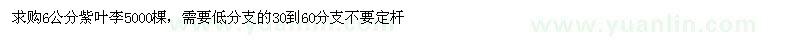 求購6公分紫葉李