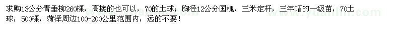 求購(gòu)13公分青垂柳、胸徑12公分國(guó)槐