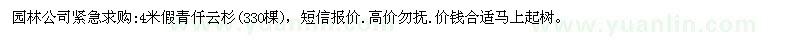 求購4米假青仟云杉